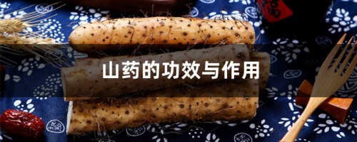 山药的功效与作用